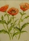 Veronica M Fraser - Poppies.jpg